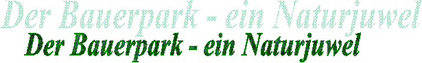 Der Bauerpark - ein Naturjuwel