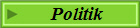 Politik